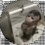 Андрій Карчевський