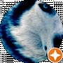 Ukrainian Guy