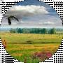 В С