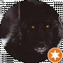 Владислав Евстафьев