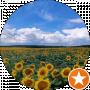 Globus Shar