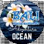 Bali Travel