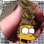 Bul' Time