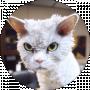 Елена Бойчук