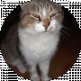 Illia Gladkykh