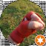 Vetal Krash