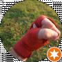 Vetal Krash