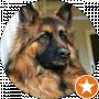 Gulfizur@ukr.net Sokolova