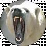 mormibmax1 4444608!@!roma31