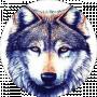 Mr_Wolf