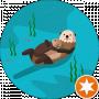 Otter SB