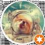 Der Hund