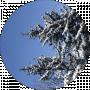 Валерия