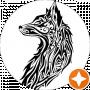 Olexandr Fox