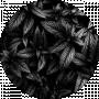 Диана Турчина