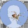 Carlito Brigante