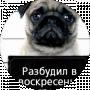 Анатолий Юрков