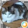 White Horse