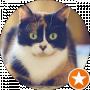 Cookie The Cat