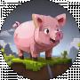 Storys from pig M