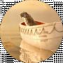Richard Parker