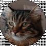 Ваня Корня