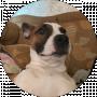 Люда Миновська