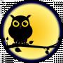 Night Owl