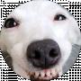 Оля Мацюк