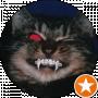 HPlayer