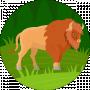 David Volynchuk