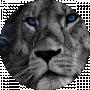 Test Testt