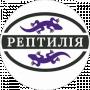 РЕПТИЛІЯ Мілабінська
