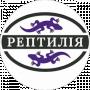 РЕПТИЛІЯ Мілабінська