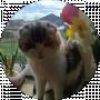 Andry M