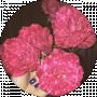 User111