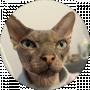 Мурад Dafuq