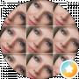 Alenka N