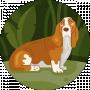 Анжелика Тимченко