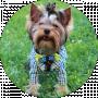 Vitaliy
