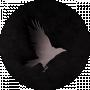 Black crow
