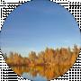 Andriy