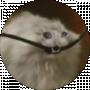 Dmytr