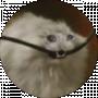 Dmytr