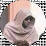 Merfi