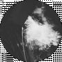 Makarov