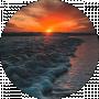 Marpol Steyn