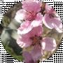 Marina G