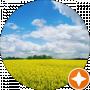 Vitala