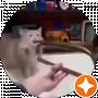 EnderCat